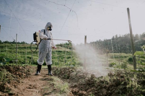 Best Commercial Pest Control Services  in South Cleveland, TN