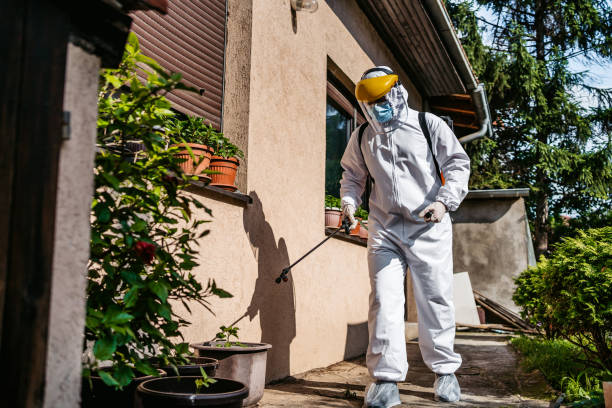 Best Pest Removal Services  in South Cleveland, TN