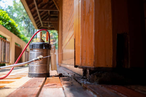 Best Local Pest Control Services  in South Cleveland, TN