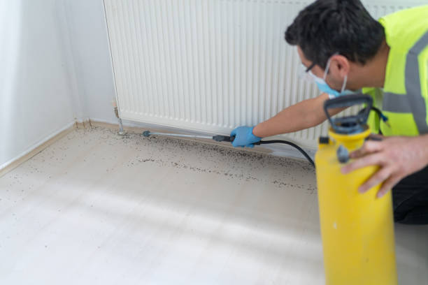 Best Mosquito Control Services  in South Cleveland, TN