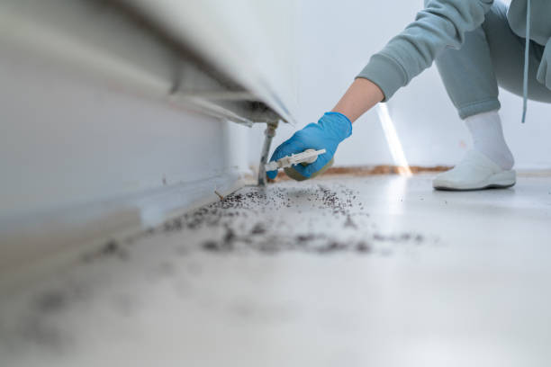 Best Bed Bug Extermination  in South Cleveland, TN